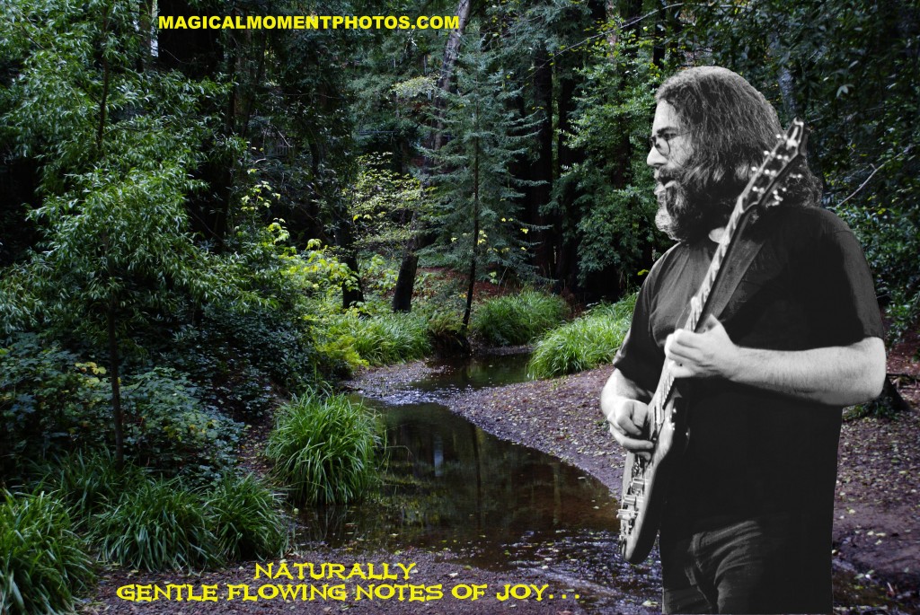 RARE GRATEFUL DEAD PHOTOS RARE PHOTOS OF THE GRATEFUL DEAD
